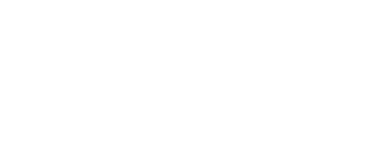Shamiso Weruzivo